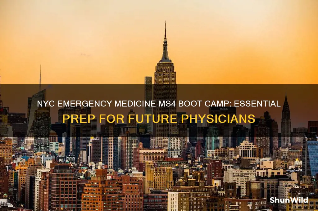 what is all nyc emergency medicine ms4 boot camp