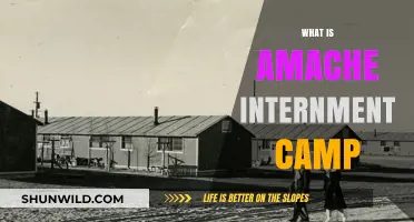 Uncovering the History of Amache Internment Camp: A Forgotten Story