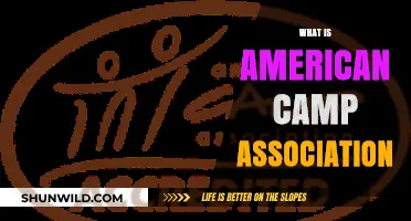 Understanding the American Camp Association: Purpose, Benefits, and Impact