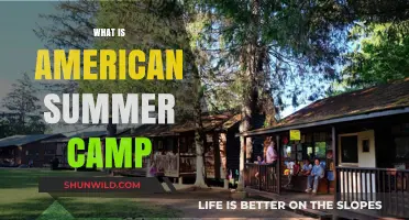 Exploring the Fun and Adventure of American Summer Camps