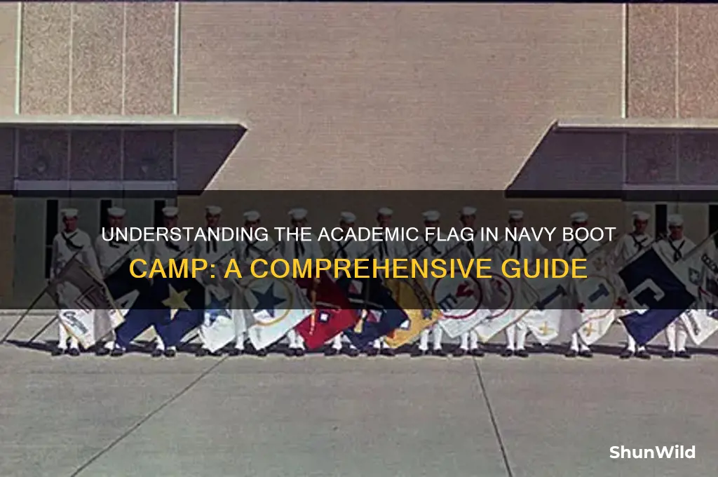 what is an academic flag navy boot camp