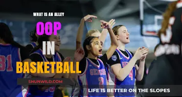 Mastering the Alley-Oop: Basketball's Ultimate Play