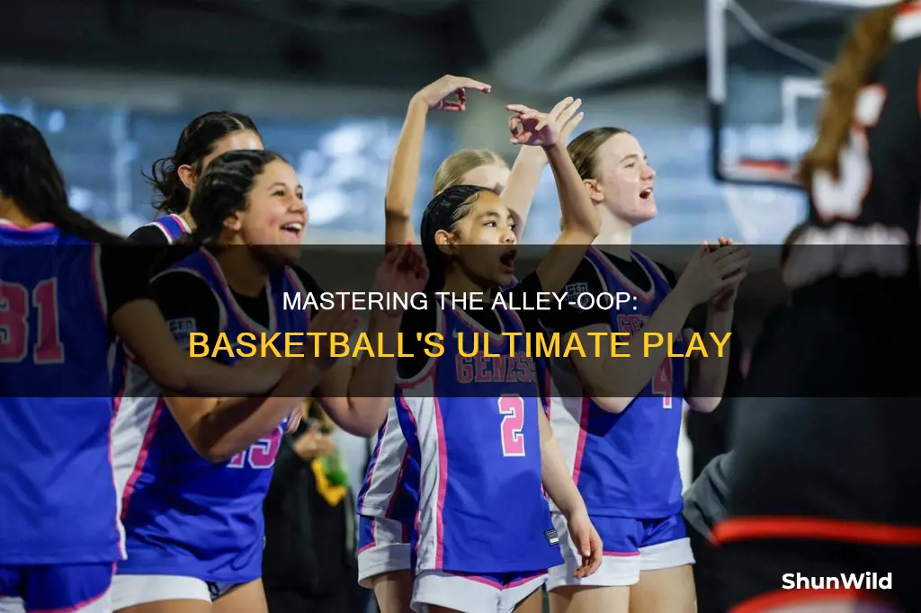 what is an alley oop in basketball
