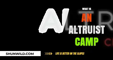 Exploring Altruist Camps: Purpose, Impact, and Community Involvement