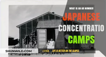 Understanding AR Numbers in Japanese Concentration Camps: A Historical Overview