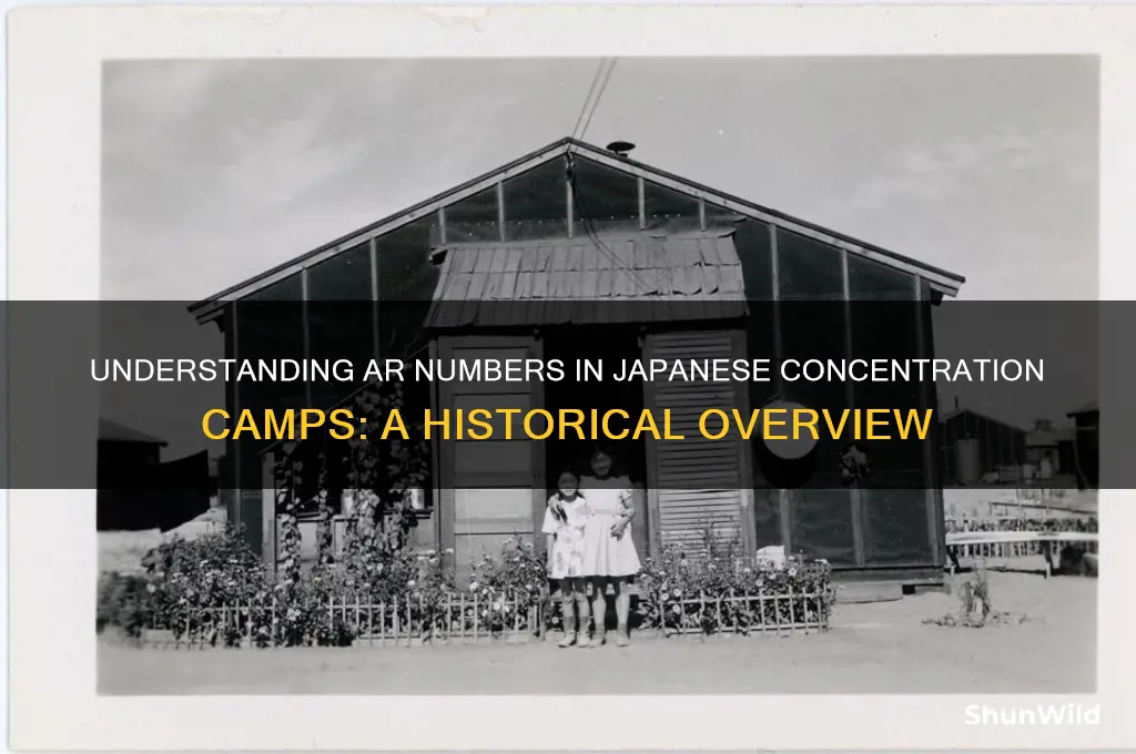 what is an ar number japanese concentration camps