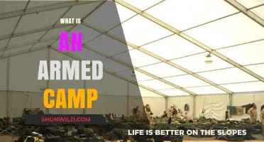 Understanding Armed Camps: Origins, Structure, and Modern Implications Explained