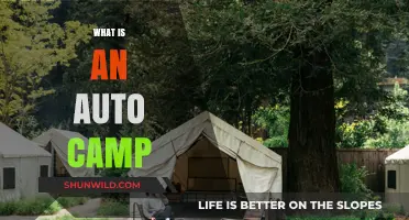 Exploring Auto Camps: Unique Outdoor Lodging and Adventure Experiences