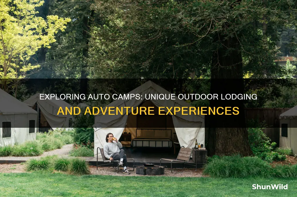 what is an auto camp