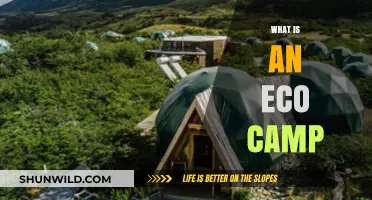 Exploring Nature Sustainably: Understanding the Concept of an Eco Camp
