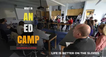 Exploring Ed Camps: Unconventional Professional Development for Educators