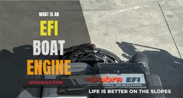 EFI Boat Engines: The Future of Boating?