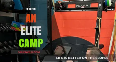 Unveiling Elite Camps: Exclusive Training for Top-Tier Athletes