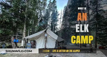 Exploring the Tradition and Adventure of an Elk Hunting Camp