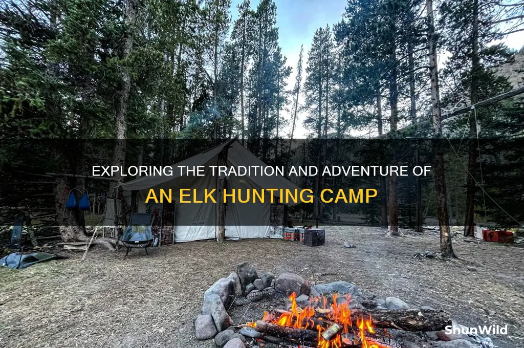 what is an elk camp
