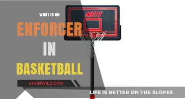 Enforcer: Basketball's Unsung Heroes