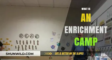 Exploring Enrichment Camps: Benefits, Activities, and Choosing the Right One