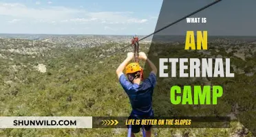 Exploring the Concept of an Eternal Camp: A Timeless Adventure