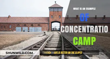 Understanding Concentration Camps: A Historical Example and Its Impact