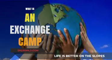 Exploring Exchange Camps: Cultural Immersion, Learning, and Global Connections