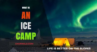 Exploring the Arctic: Understanding the Purpose of an Ice Camp