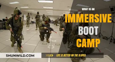 Exploring Immersive Boot Camps: Intense, Hands-On Learning Experiences