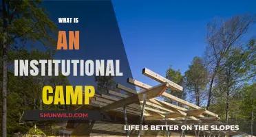 Understanding Institutional Camps: Purpose, Structure, and Impact Explained