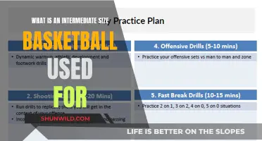 Unleash Your Game: Intermediate Basketball Size Explained