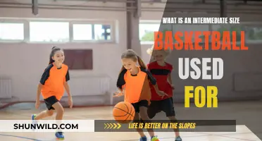 The Versatility of Intermediate-Sized Basketballs Explained