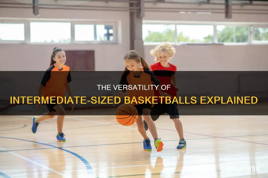 what is an intermediate size basketball used for