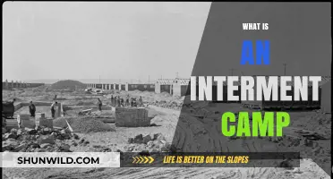 Understanding Interment Camps: History, Purpose, and Impact Explained
