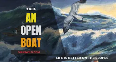 Open Boat: What It Is and Why It Matters