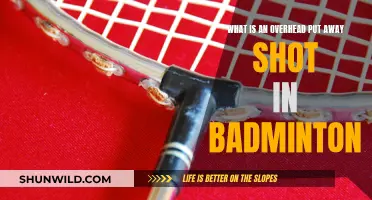 Mastering the Overhead Put-Away Shot in Badminton