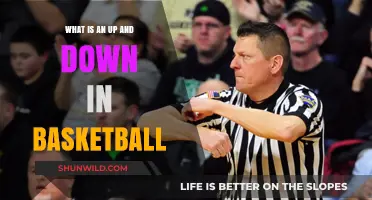 Understanding Basketball's Ups and Downs