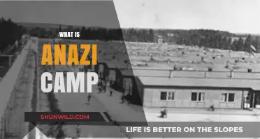 Understanding Anazi Camps: Origins, Purpose, and Historical Significance Explained