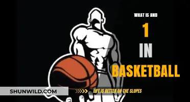 Understanding Basketball's 'Pick and Roll' Offensive Strategy