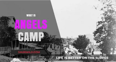 Exploring Angels Camp: History, Charm, and California Gold Rush Legacy