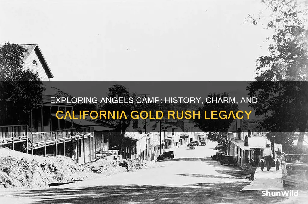 what is angels camp