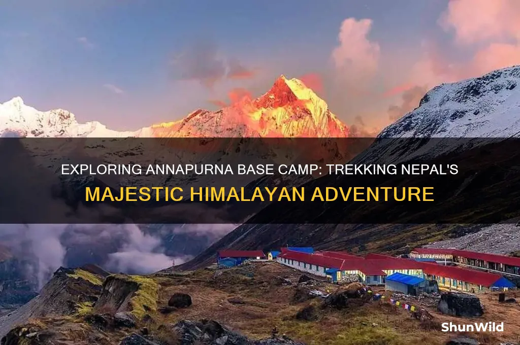 what is annapurna base camp