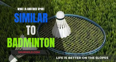 Racket Sports: Badminton Alternatives
