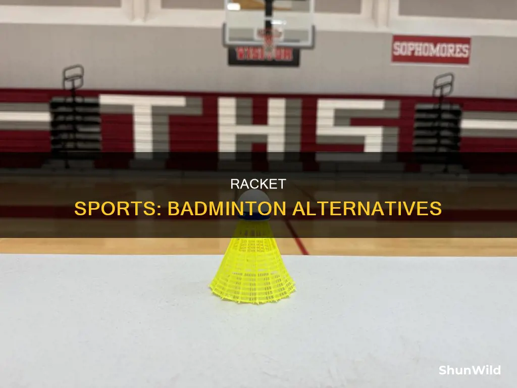 what is another sport similar to badminton