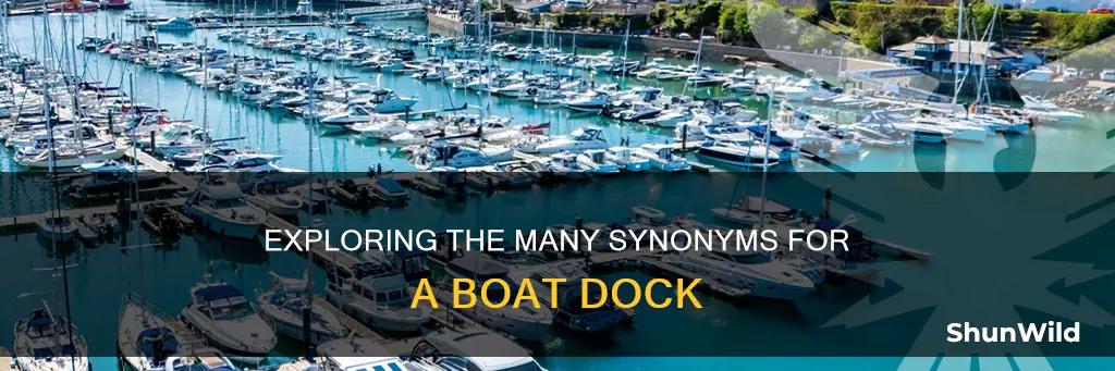 what is another word for boat dock