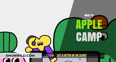 Discover Apple Camp: Creative Tech Workshops for Kids and Teens