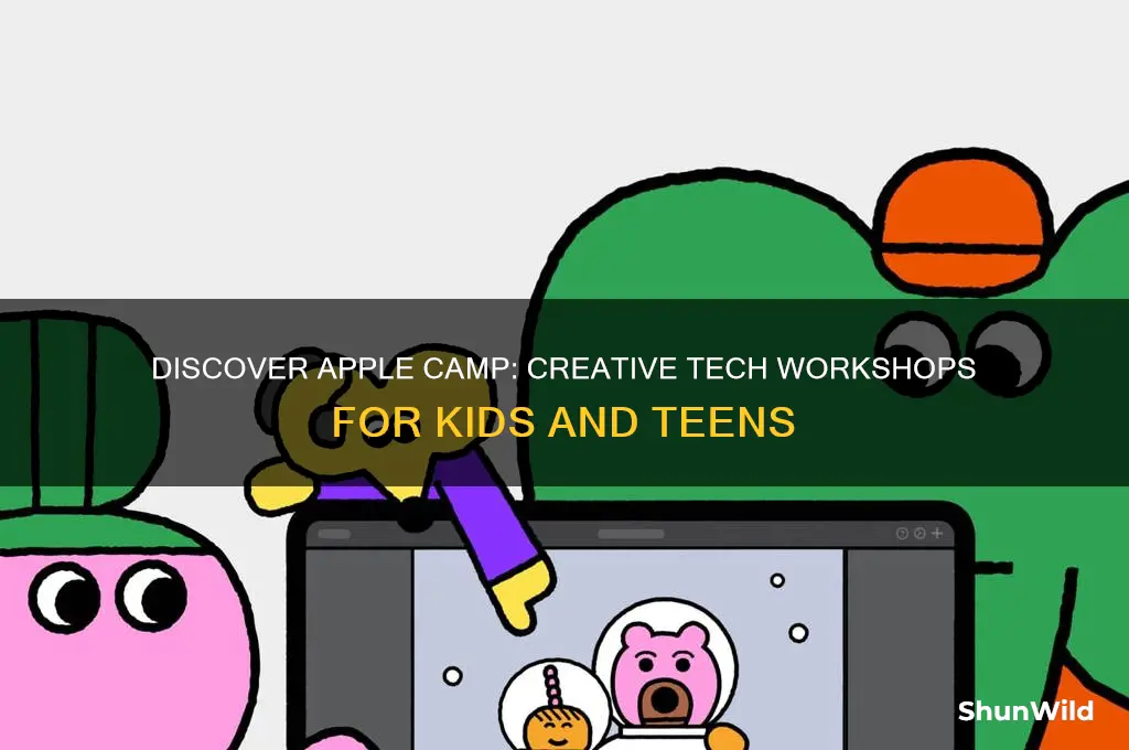what is apple camp