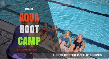 Dive into Fitness: Exploring the Benefits of Aqua Boot Camp