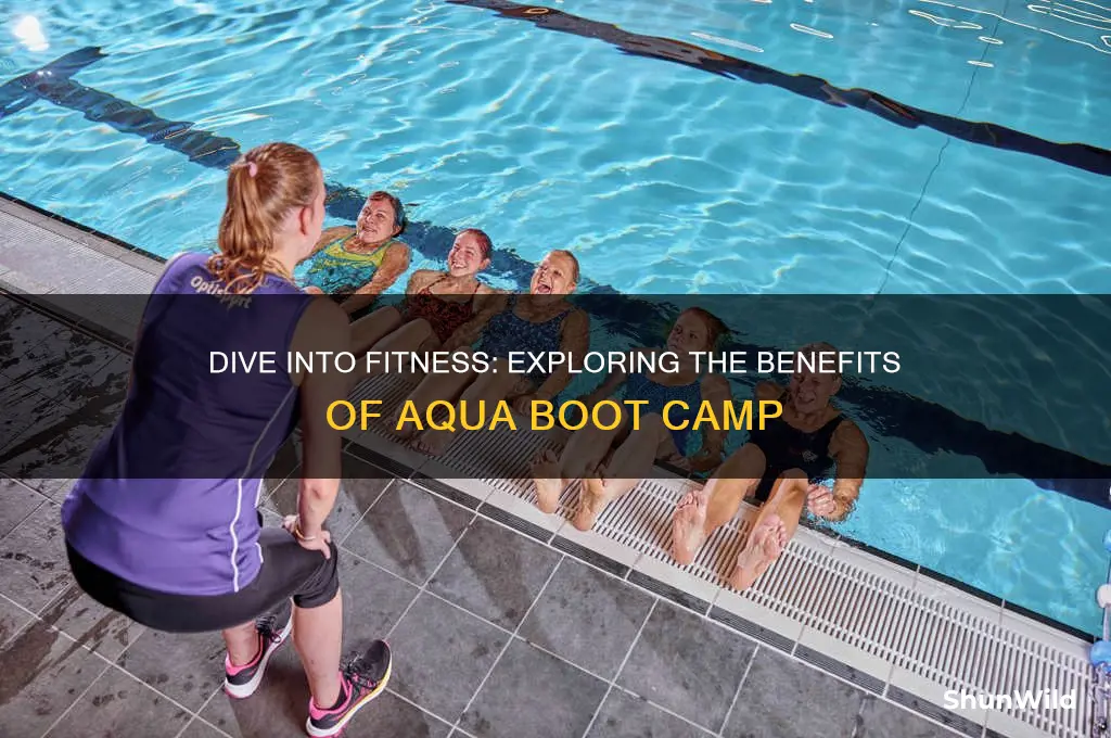 what is aqua boot camp