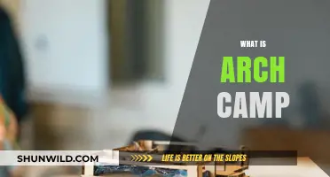 Discover Arch Camp: Architecture, Creativity, and Community in Action