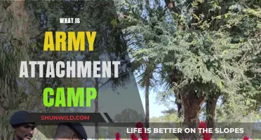 Understanding Army Attachment Camp: Purpose, Training, and Benefits Explained