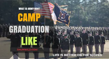 Army Boot Camp Graduation: Celebrating Transformation, Pride, and Achievement