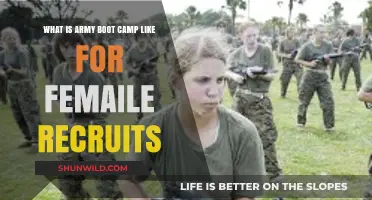 Female Recruits' Army Boot Camp Experience: Challenges, Growth, and Resilience